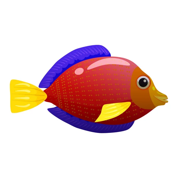 Peixe vermelho tropical, recife de coral animal de estimação exótico. Vida marinha do aquário, estilo cartoon vector illustartion —  Vetores de Stock