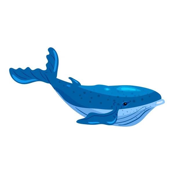 Big Blue Whale aquatic animal. Vector illustration cartoon hand draw style — Image vectorielle