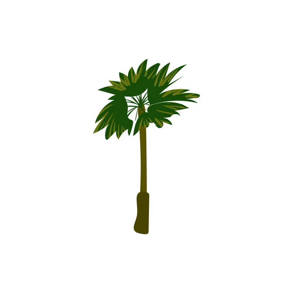 Palme tropisch. Exotische Blütenpflanze mit isolierten Blättern. Vektor — Stockvektor