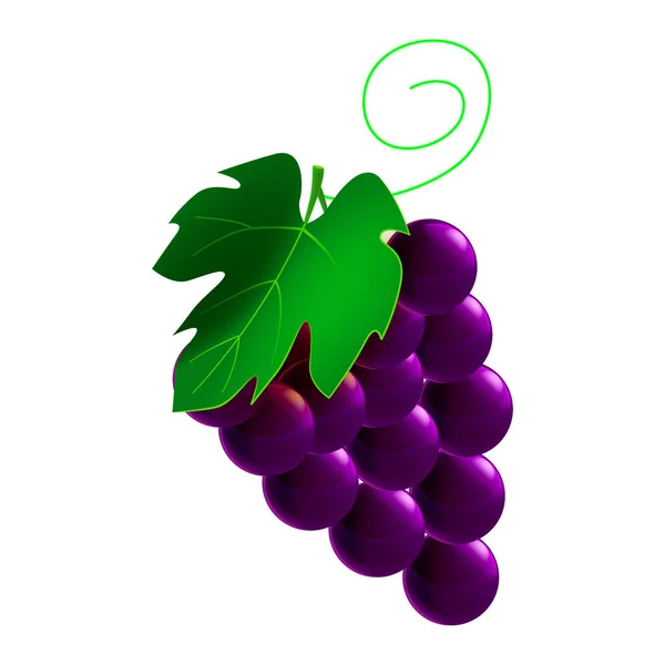 Uvas maduras, rama entera orgánica fresca, color negro, icono. Icono de símbolo de ilustración vectorial de dibujos animados — Vector de stock