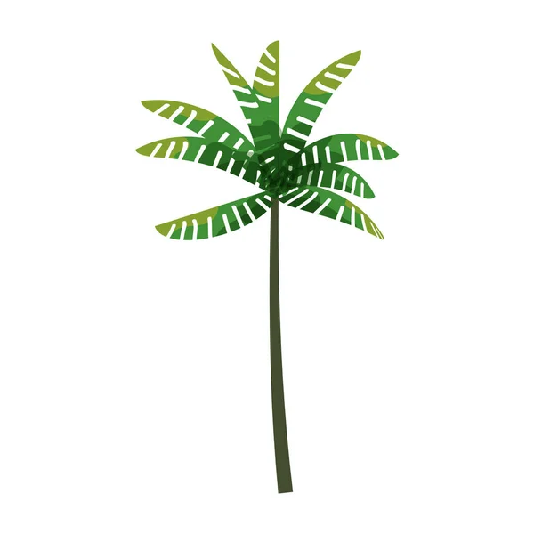 Palmier cocotier tropical. Plante florale exotique aux feuilles isolées. Vecteur — Image vectorielle