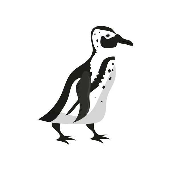 Pinguin Vogel schwarz weiße Farbe. Vektor Illustration Cartoon-Stil — Stockvektor