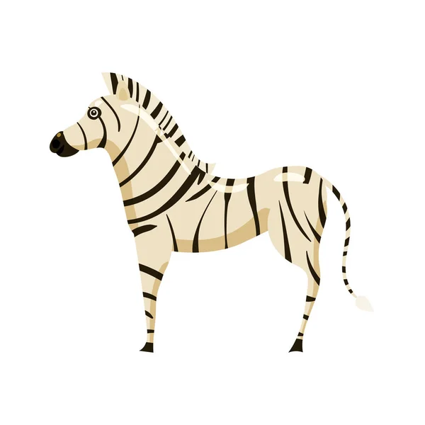 Zebra afrikai állat, fekete-fehér csíkokban. Vektor illusztráció rajzfilm stílus — Stock Vector