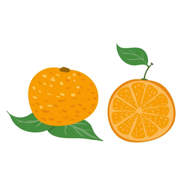 Naranja entero, medio corte, producto natural de nutrición orgánica saludable, cítricos. Vector doodle dibujos animados plana de moda ilustración dibujado a mano aislado — Vector de stock