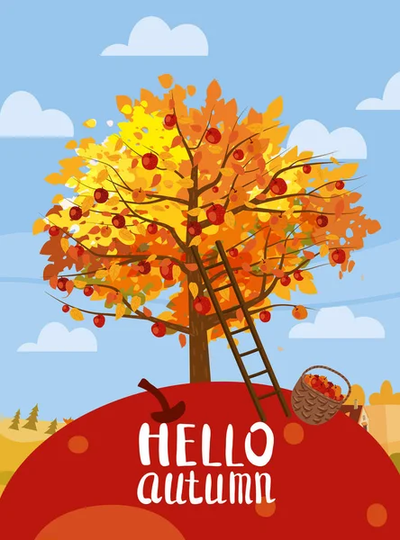 秋の収穫祭。リンゴ、はしご、田園風景のバスケットとリンゴの木。こんにちは秋、収穫、木に熟した果実、田舎の秋。ベクターイラスト漫画風ポスター — ストックベクタ