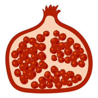 Nar, yarı kesik, doğal sağlıklı organik besin ürünü, kapnet. Vektör karalama çizgi filmi düz moda çizim eli izole edildi