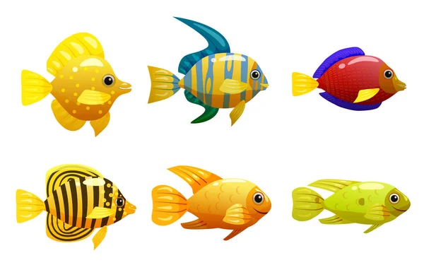 熱帯黄色の魚、サンゴ礁エキゾチックなペット動物を設定します。コレクション水族館の海の生活、ベクトルイラスト漫画のスタイル — ストックベクタ