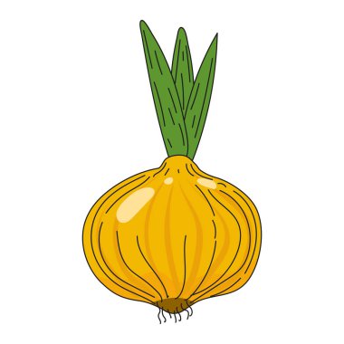 Soğan sebzeli karalama ikonu, organik tarım ürünü. Vektör çizimi illüstrasyon vintage, retro gravür biçimi
