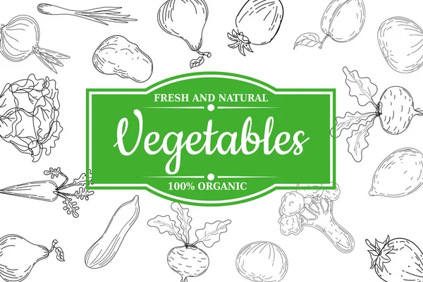 Cartel de diseño de frutas y verduras orgánicas. garabatos dibujados a mano ilustración de alimentos frescos y saludables. Plantilla de estilo retro de boceto vectorial — Archivo Imágenes Vectoriales