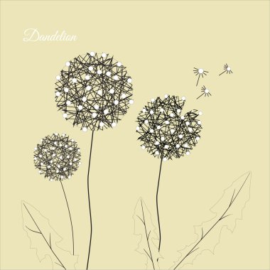 Dandelions pastel arka plan, siyah anahat, vektör, illüstrasyon