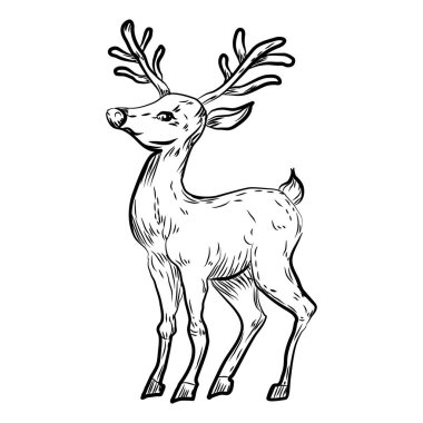 Noel geyiği dekoru, el çizimi, karalama, siyah çizgi sanatı. Vektör vintage çizimi izole edildi