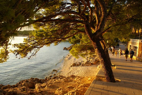 Nsanlar Sıcak Bir Akşamda Gezinirler — Stok fotoğraf