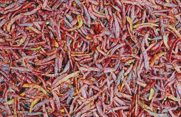 Red hot Chili