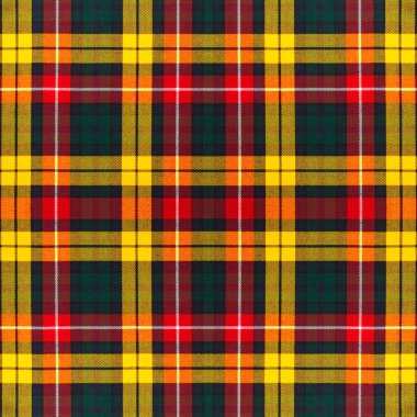 Güzel, kusursuz asilzade, çok renkli, yeşil, kırmızı, sarı, siyah ve beyaz renkler. Soyut klasik renkler ekoseli kareler deseni. Farklı renkte basit geometrik tartan desen ve kareler. Damalı d 'nin klasik güzelliği