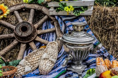 Şatafatlı ayakkabılar ve semaver ile taşralı bir hayat. Kırsal alanda ayçiçekleri, araba tekerlekleri, semaver ve samanların üzerinde uzanan bast ayakkabıları..