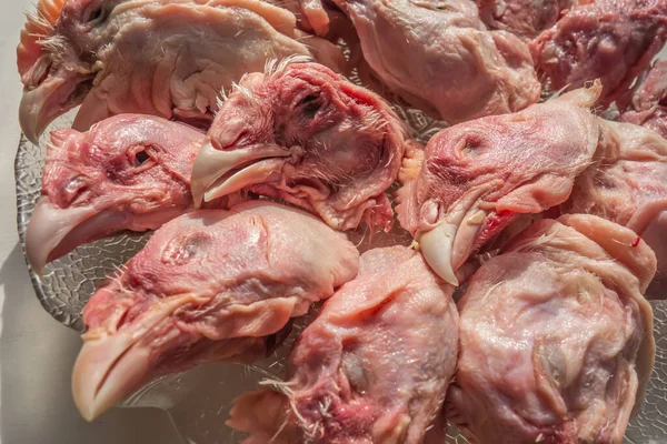 Comida Gato Fundo Comida Cabeças Frango Cruas Isoladas Branco Alimentos — Fotografia de Stock