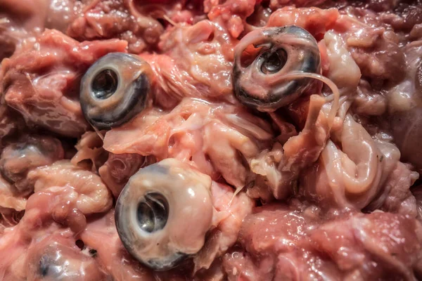 Cabezas Pollo Crudas Trituradas Con Ojos Separados Gato Natural Alimentos — Foto de Stock
