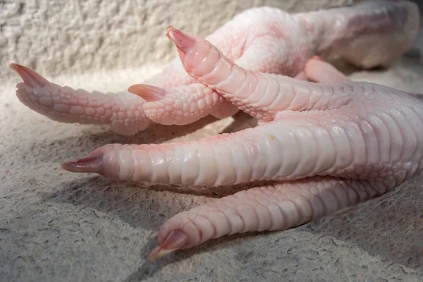 Pernas Frango Cruas Comida Bonita Barata Saudável Para Animais Estimação — Fotografia de Stock