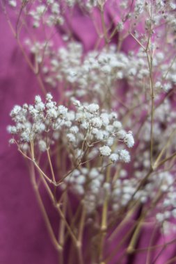 Mor arkaplanda ince dalları olan narin, narin, havadar bir buket çiçek..