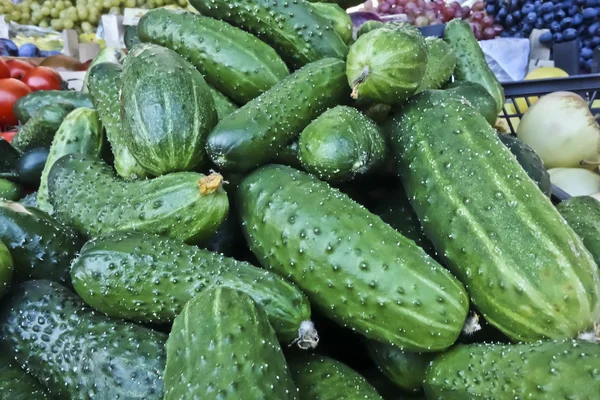 Concombres verts se trouvent sur le comptoir du marché des légumes — Photo