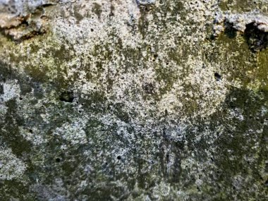 Beton ve Toprak Doku Arkaplanı