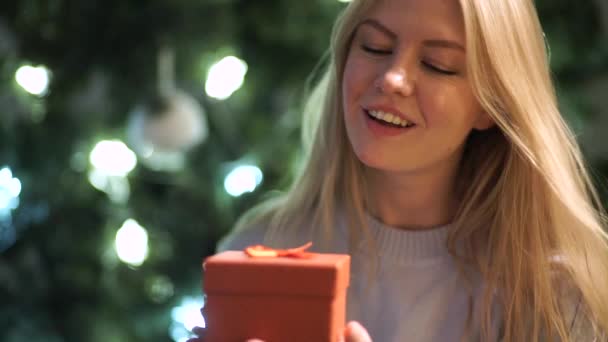 Belleza chica sostiene un regalo de Navidad en las manos — Vídeos de Stock