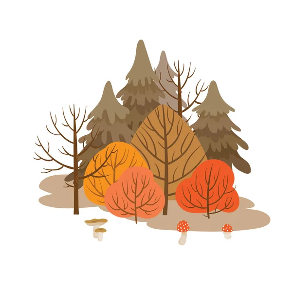 Sonbahar ormanı. Farklı ağaçlarla renkli illüstrasyon — Stok Vektör