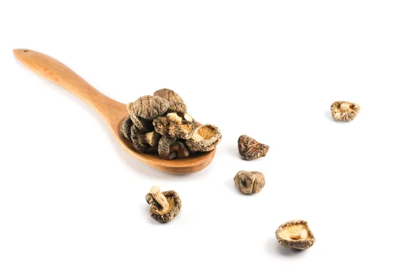 shiitake mantar kurutulmuş