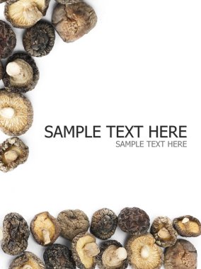 shiitake mantarları