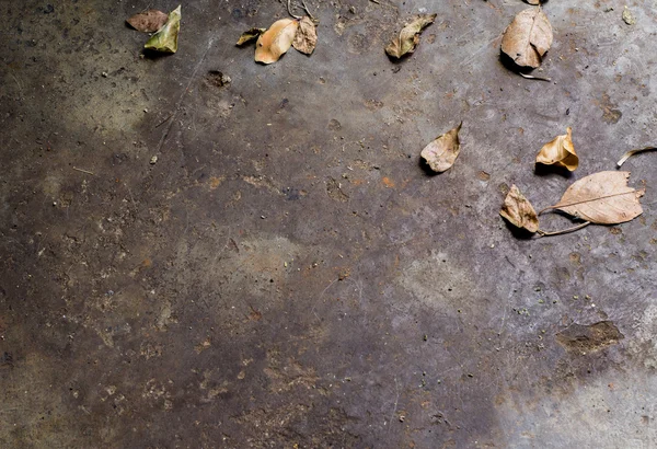 コンクリートの床の乾燥葉. — ストック写真