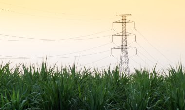 Yüksek gerilim elektrik direği yapısı