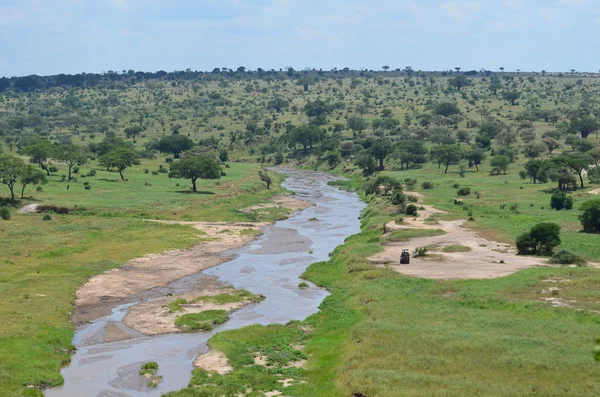Ποταμού στο tarangire εθνικό πάρκο στην Τανζανία — Φωτογραφία Αρχείου