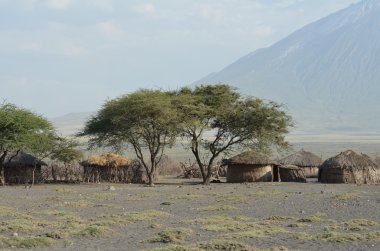 Ol Doinyo Lengai Tanzanya kutsal dağına yanındaki Masai Köyü.