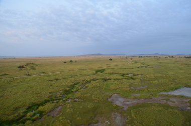 Serengeti balon safari Tanzanya Afrika