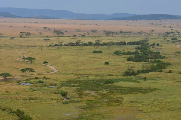 Serengeti balão safari na Tanzânia África — Fotografia de Stock