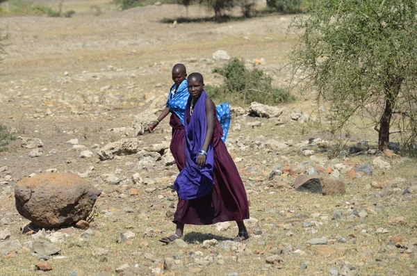 Женщины-масаи, идущие вблизи Аруши в Танзании в феврале 2016 года — стоковое фото