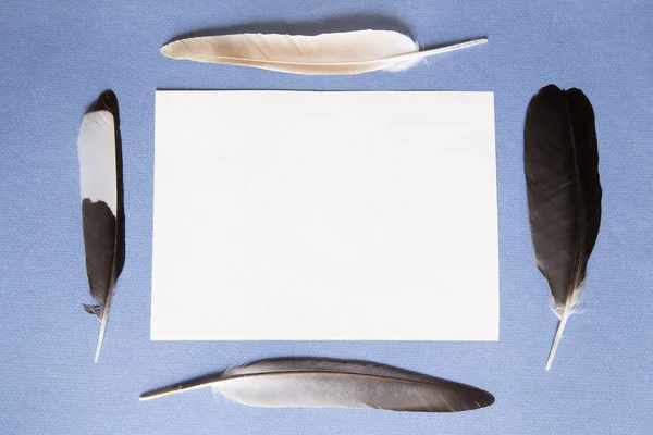 Fjädrar och ett ark papper — Stockfoto