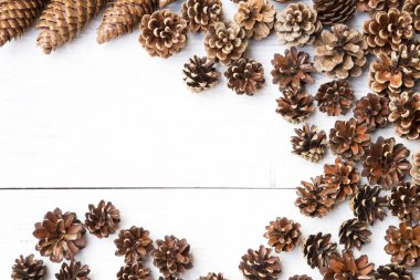 Çam kozalakları arka planı