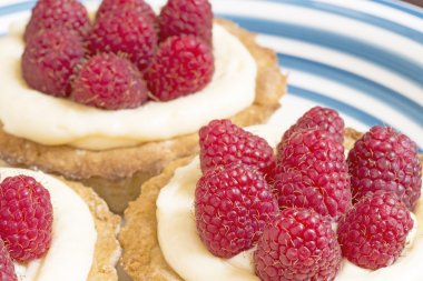 Ev yapımı aspberry tatrs