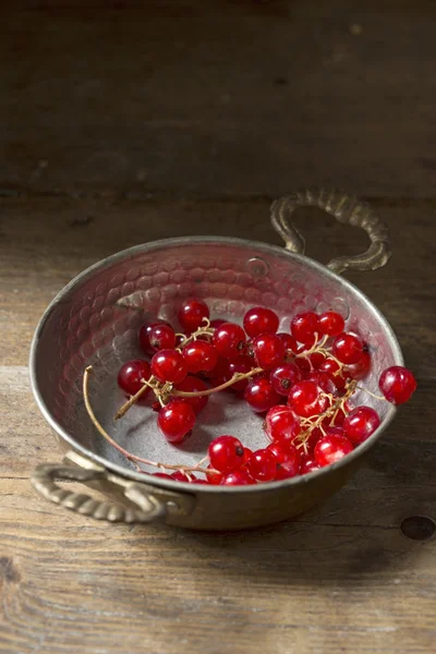 Red currant in a bowl — Stock Photo, Image