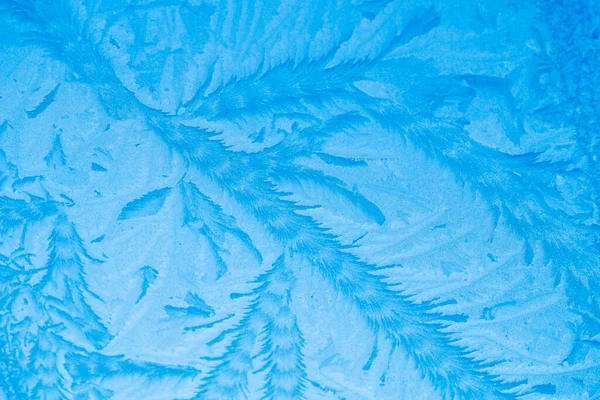 窓の氷のパターン — ストック写真