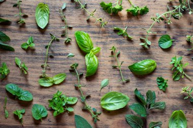 Ahşap arka planda taze bitkiler