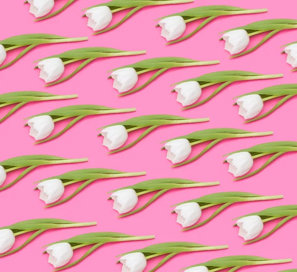 White tulips pattern on pink background