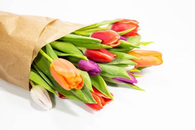 Beyaz arkaplanda renkli laleler