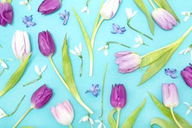 Mavi arkaplanda bahar tulpları ve kardamlaları