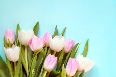 Pembe ve beyaz lalelerden bir buket