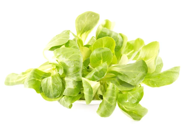 Arugula salad — Stock Photo, Image