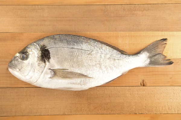 Peşte Aurata — Fotografie, imagine de stoc