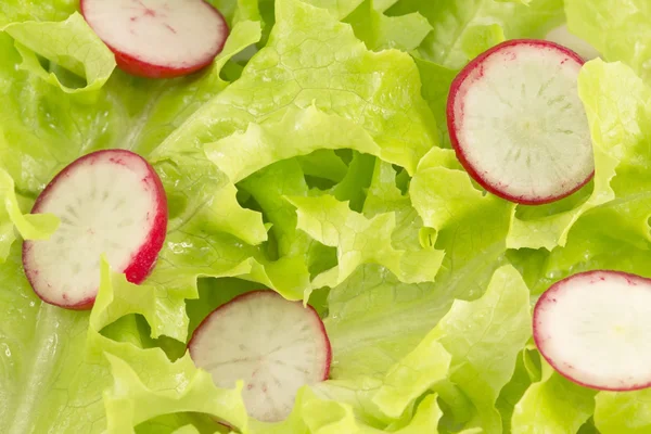 Salada de alface e rabanetes — Fotografia de Stock