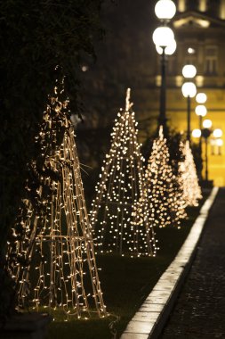 Noel ağaçları aydınlatma